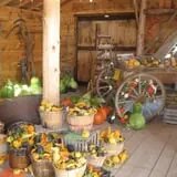 Hearty Harvest photo