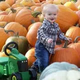 Hearty Harvest photo