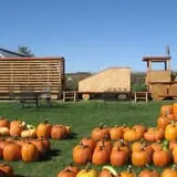 Hearty Harvest photo