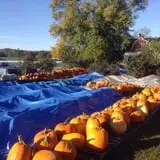 Hearty Harvest photo