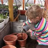 Hearty Harvest photo