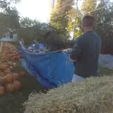 Hearty Harvest photo
