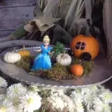 Hearty Harvest photo
