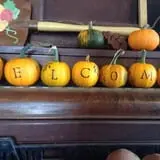 Hearty Harvest photo