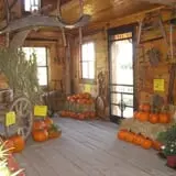 Hearty Harvest photo