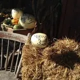 Hearty Harvest photo