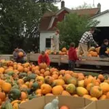 Hearty Harvest photo