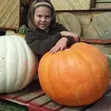 Hearty Harvest photo