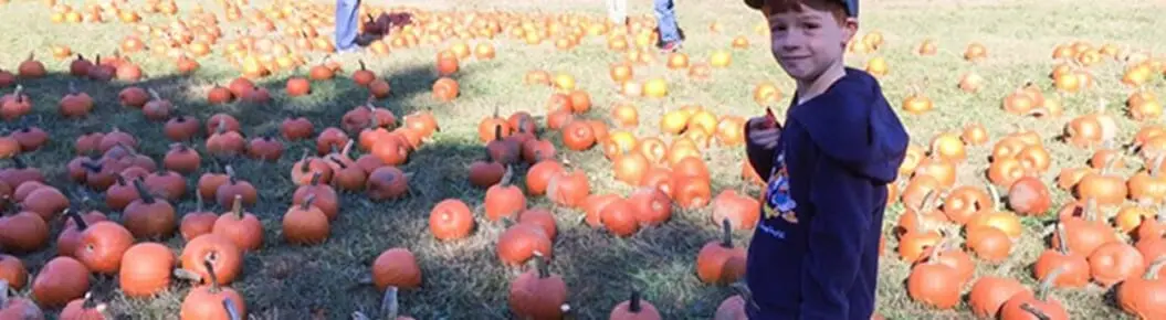 Pumpkin Patch Trolley Cover Photo