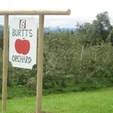 Burtt's Apple Orchard photo