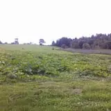 Burtt's Apple Orchard photo