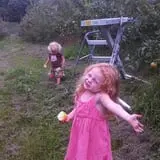 Burtt's Apple Orchard photo