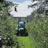 Burtt's Apple Orchard photo