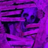 Extreme Fear ScareGrounds photo