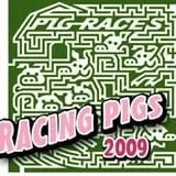 Todd Family Fun Farm's Giant Corn Maze photo