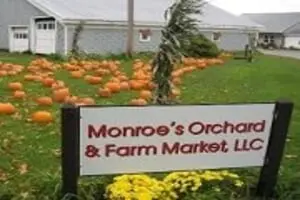 Monroe's Orchard Pumpkin Patch