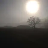 http://moundville.ua.edu/moundville/