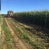 The Maize at Sherman Farm photo
