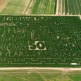 The Maize at Sherman Farm photo
