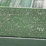 The Maize at Sherman Farm photo
