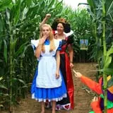 The Maize at Sherman Farm photo