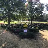 Sekapp Orchard photo