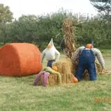 Sekapp Orchard photo