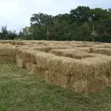 Sekapp Orchard photo