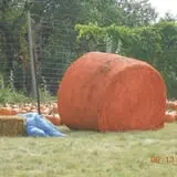 Sekapp Orchard photo