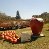 Sekapp Orchard photo