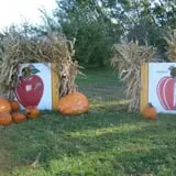 Sekapp Orchard photo