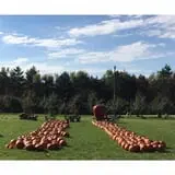 Sekapp Orchard photo