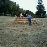 Sekapp Orchard photo