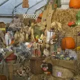 Glover Farms U-Pick Pumpkins photo