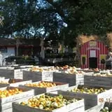 Behling Orchards Zombie Paint Ball photo