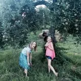 Behling Orchards Zombie Paint Ball photo
