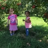Behling Orchards Zombie Paint Ball photo