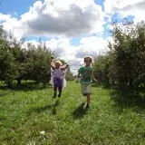 Behling Orchards Zombie Paint Ball photo