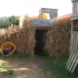 Behling Orchards Zombie Paint Ball photo