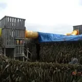 Behling Orchards Zombie Paint Ball photo
