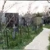 Scary Acres photo