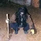Scary Acres photo