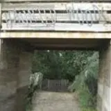 Scary Acres photo