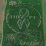 Konow's Corn Maze photo