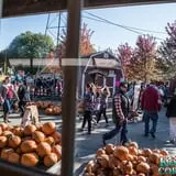 Konow's Corn Maze photo