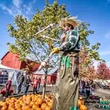 Konow's Corn Maze photo