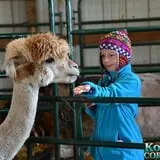 Konow's Corn Maze photo
