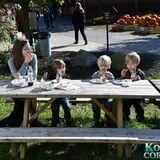 Konow's Corn Maze photo