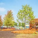 Konow's Corn Maze photo