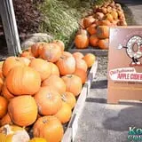 Konow's Corn Maze photo